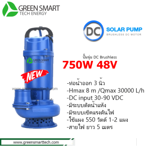 ปั้มจุ่ม DC Brushless 750W 48v ท่อ 3 นิ้ว
