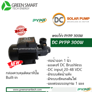 หอยโข่งโซล่าเซลล์ DC Brushless  PYPP 300W ท่อน้ำ 1 นิ้ว